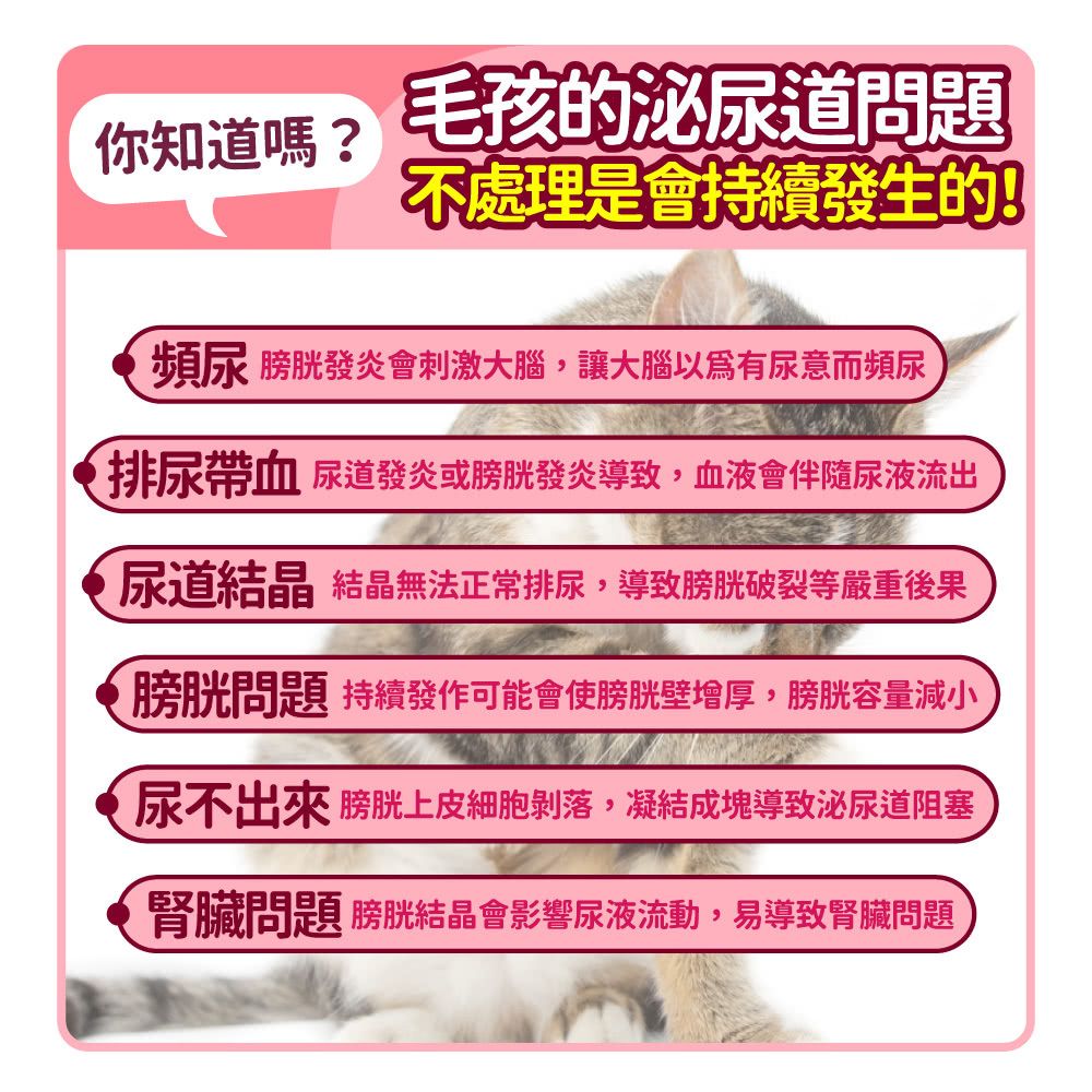 毛孩時代 專利蔓越莓 Urinary Tract Health (30包/盒)