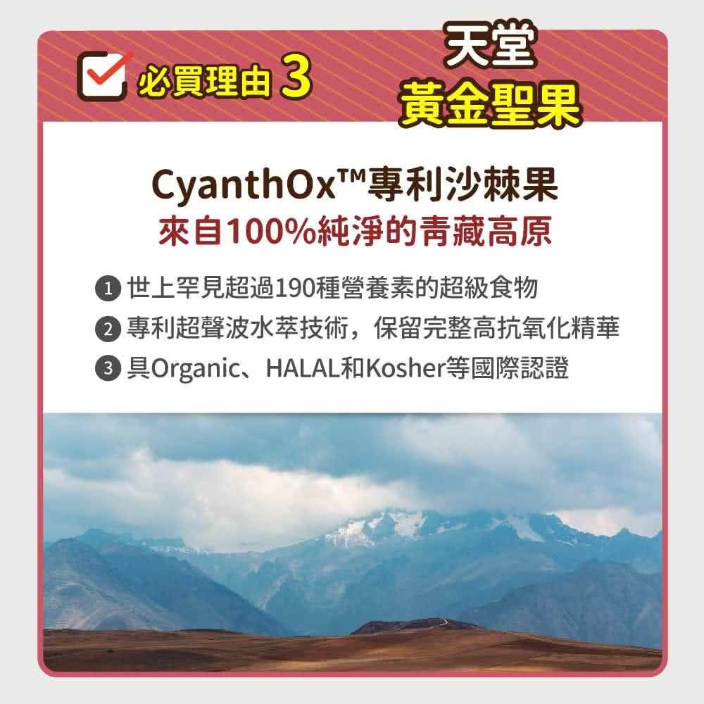 毛孩時代 心臟專科保健粉 Heart Supprt (30包/盒)