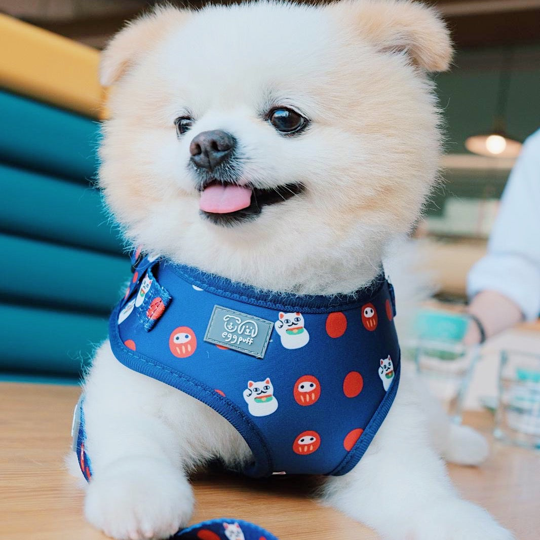 EGGPUFF Just Fit Harness Bundle Set
