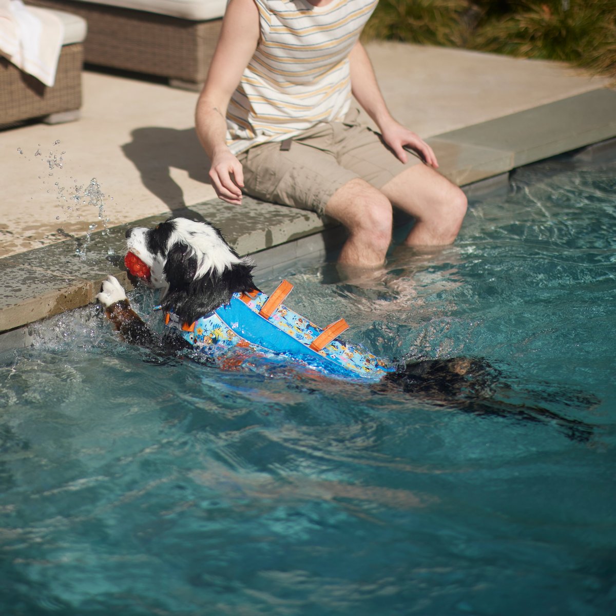 Pixar Finding Nemo & Friends Dog Lifejacket 救生衣