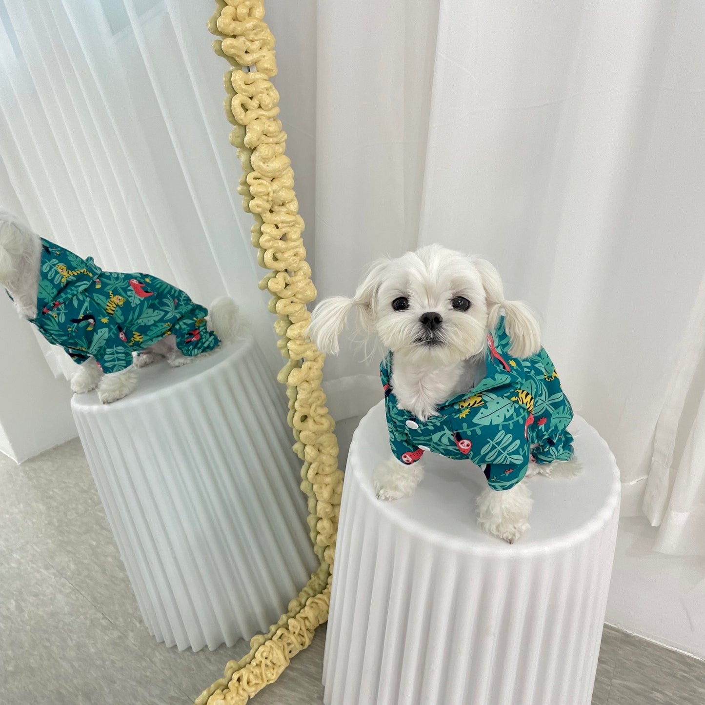 韓國熱帶雨林四腳雨衣 Korean rainforest four-legged raincoat