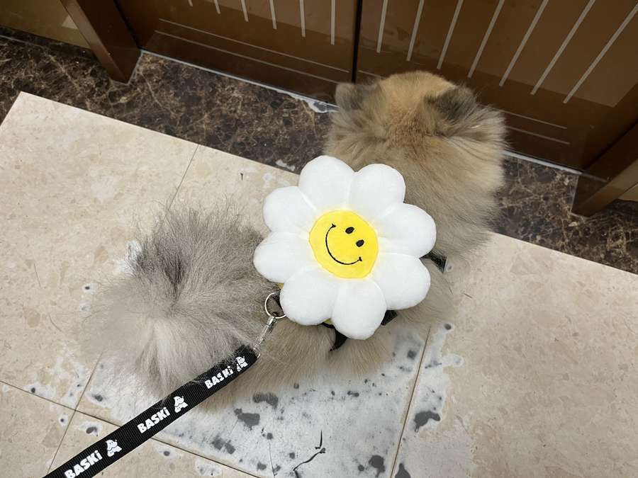韓國笑花花背包狗繩 Korean Smile Flower Bag Leash
