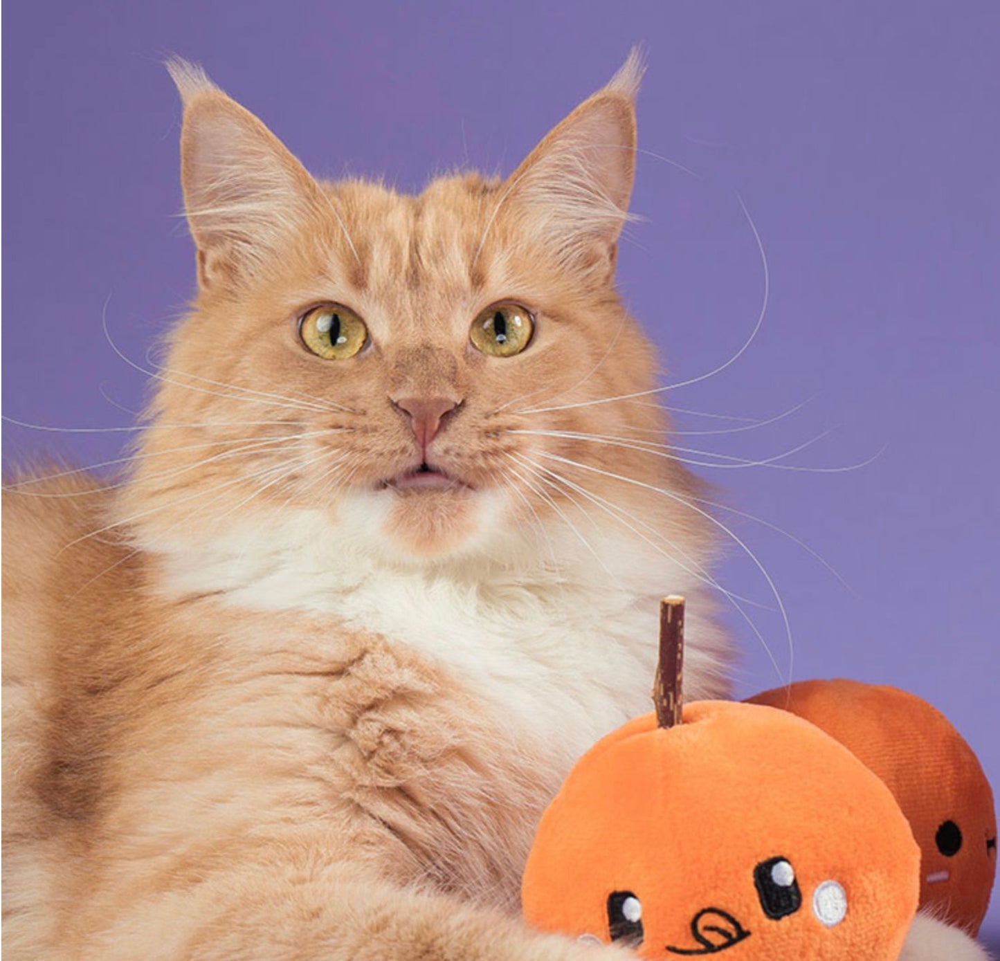 Cheese Ball Snuffle Toy 芝士波波藏食玩具 (貓貓版 含貓草)