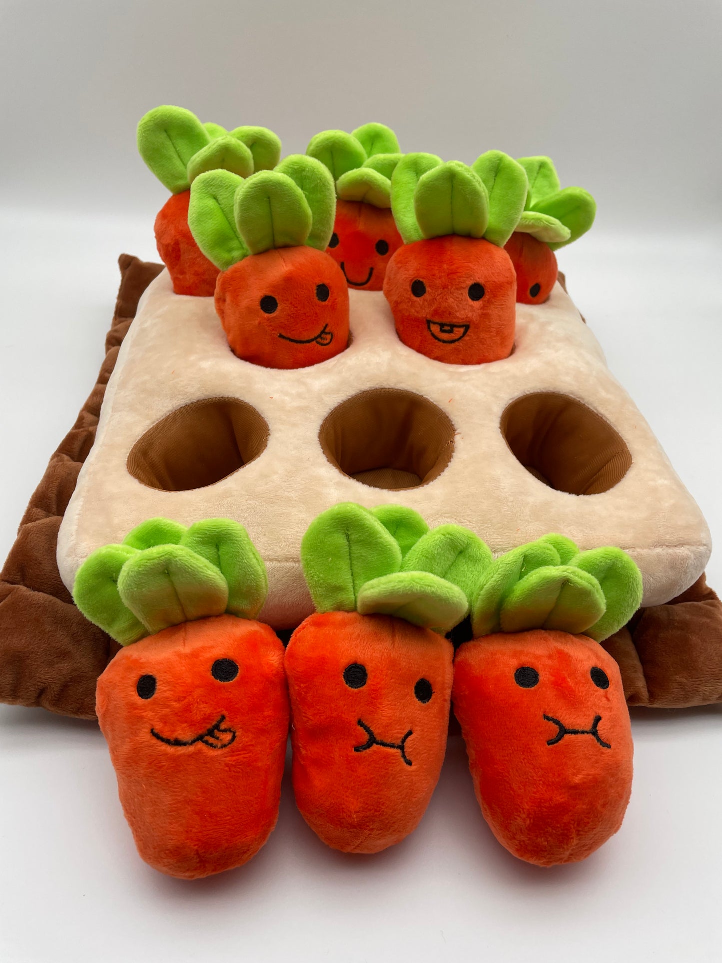 香港獨家 韓國紅蘿蔔農田 Carrot Farm