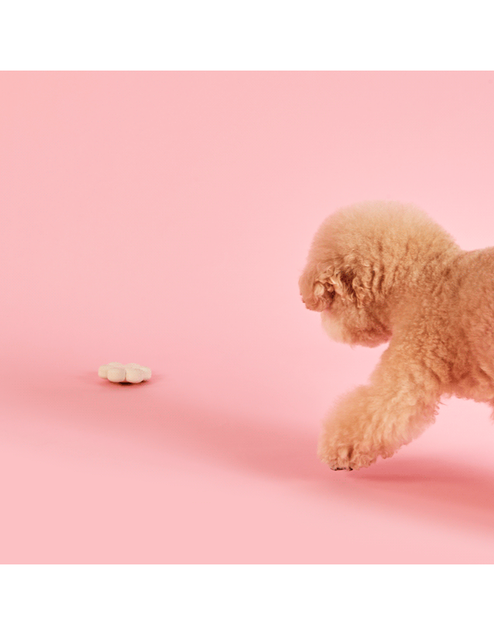 Wiggle Wiggle 乳膠玩具 三個裝 Latex toy 3pc