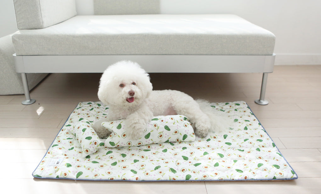 itsdog 柑桔款涼浸浸涼墊 Orange Cool Mat