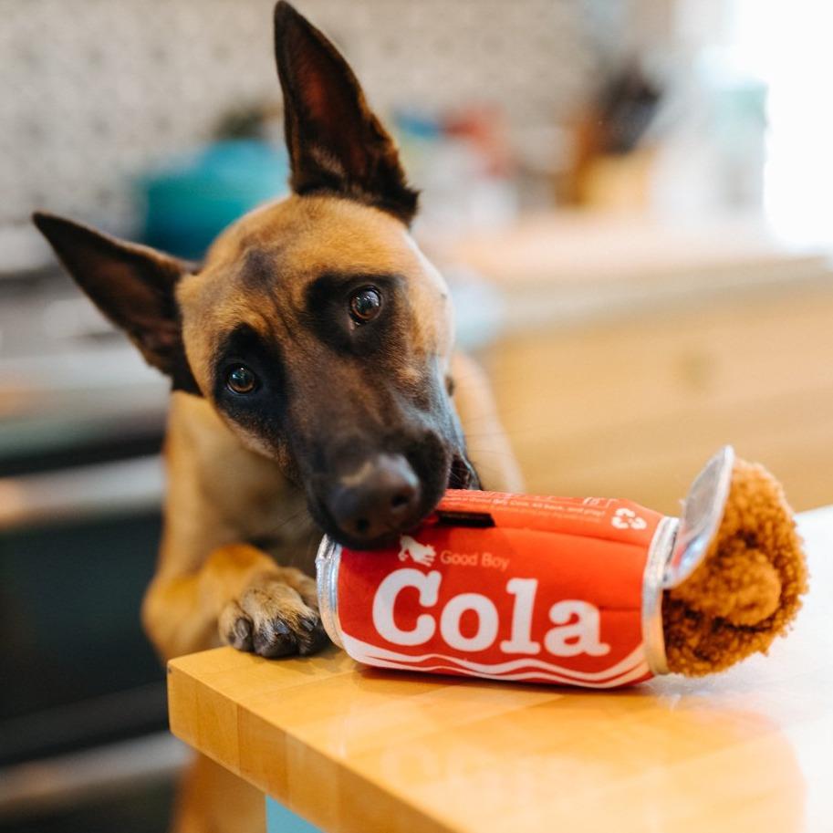 P.L.A.Y. Cola Toy 可樂玩具