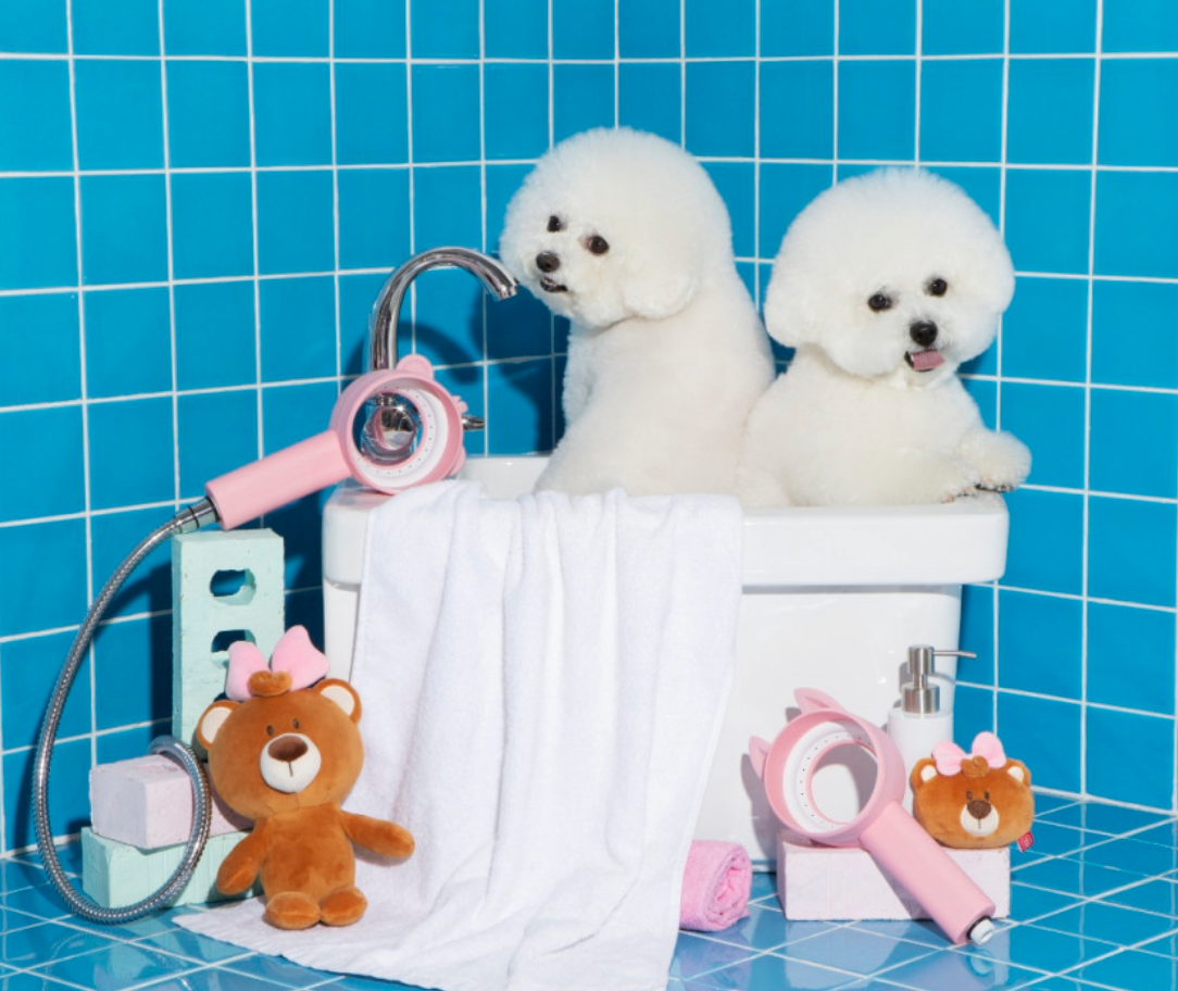 Teddy Island Paw Paw Shower 貓狗專用花灑