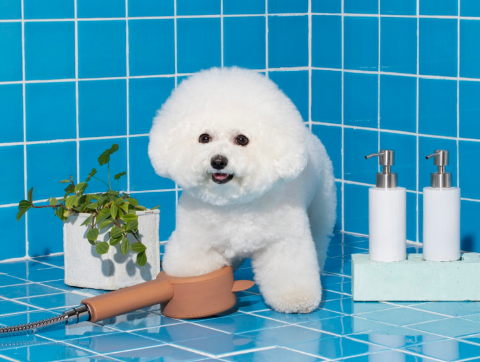 Teddy Island Paw Paw Shower 貓狗專用花灑