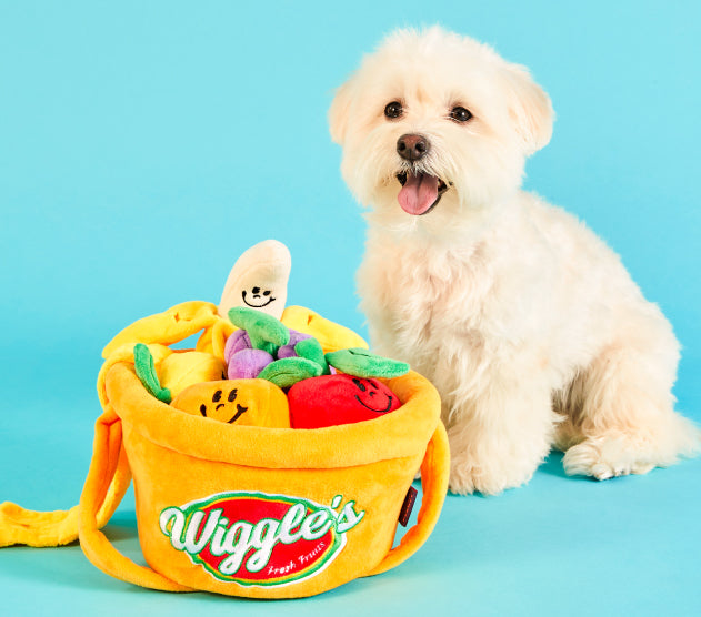 Wiggle Wiggle Fruits Set 生果籃玩具