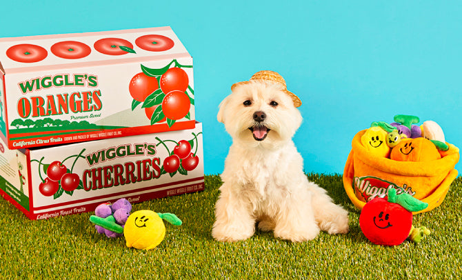 Wiggle Wiggle Fruits Set 生果籃玩具