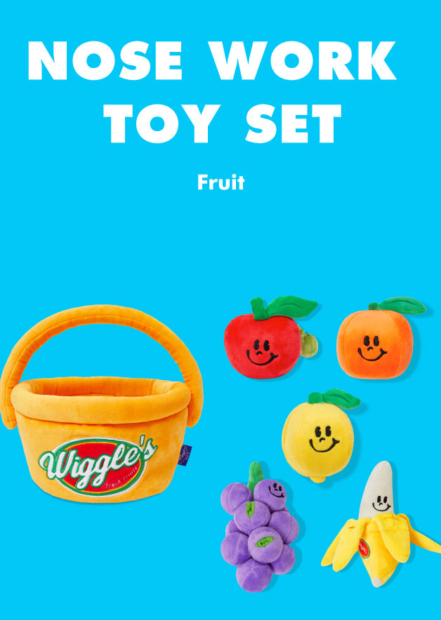 Wiggle Wiggle Fruits Set 生果籃玩具
