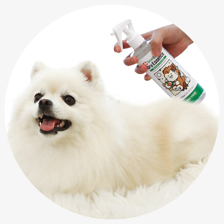 韓國 Laughing Charlie 舒緩乾燥精華 Dry Essence 300ml