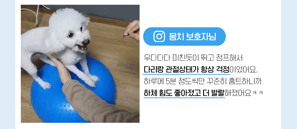 韓國 Laughing Charlie 甜甜圈健身球 Healthy Donut Gymball
