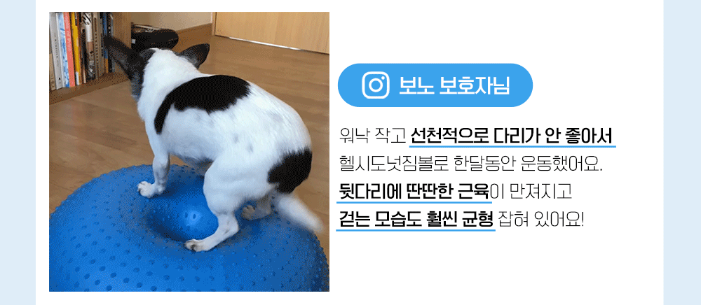 韓國 Laughing Charlie 甜甜圈健身球 Healthy Donut Gymball