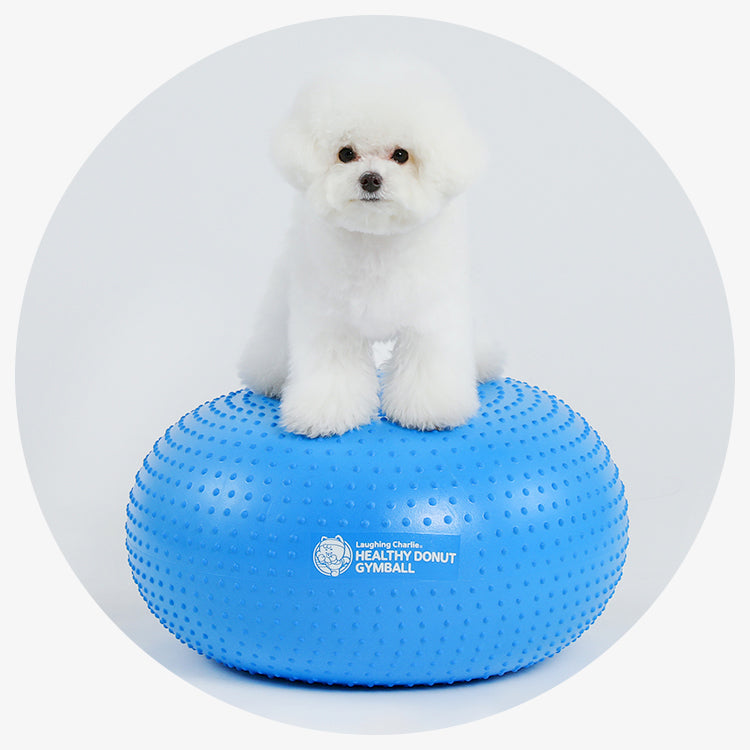 韓國 Laughing Charlie 甜甜圈健身球 Healthy Donut Gymball