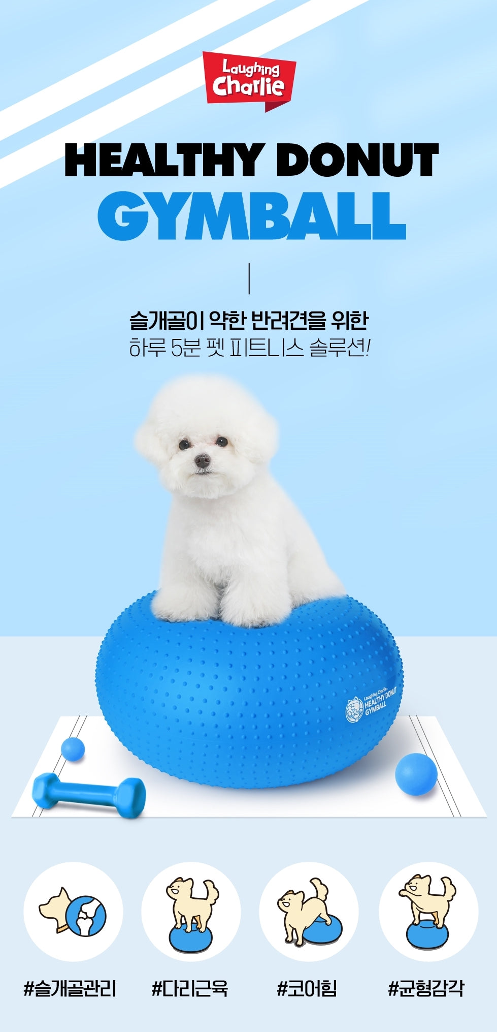 韓國 Laughing Charlie 甜甜圈健身球 Healthy Donut Gymball