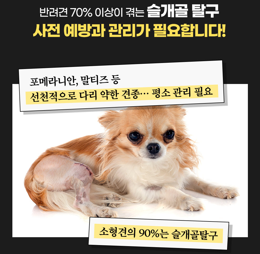 韓國 Laughing Charlie 甜甜圈健身球 Healthy Donut Gymball