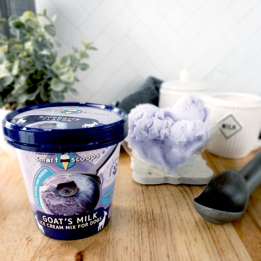 Smart Scoops Goat's Milk Ice Cream Mix Blueberry 藍莓味雪糕