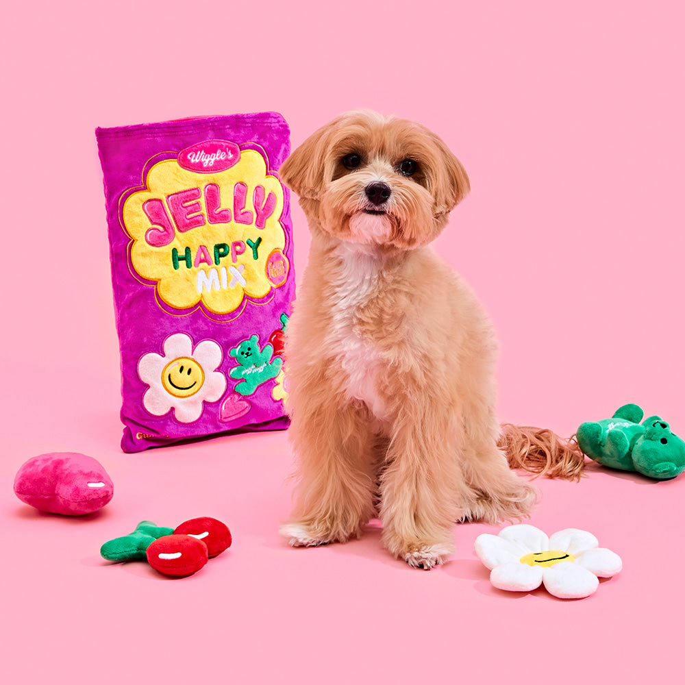 Wiggle Wiggle少女心藏食玩具 Jelly Happy Mix