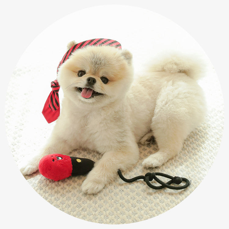 韓國Laughing Charlie 發聲藏食卡拉OK Toy