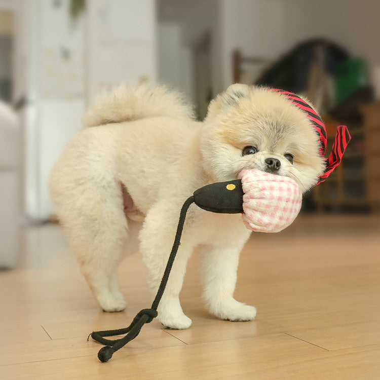 韓國Laughing Charlie 發聲藏食卡拉OK Toy