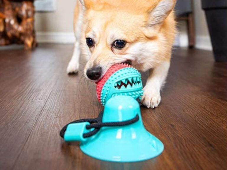 Rope Dispensing Ball with suction cup 吸地漏響球