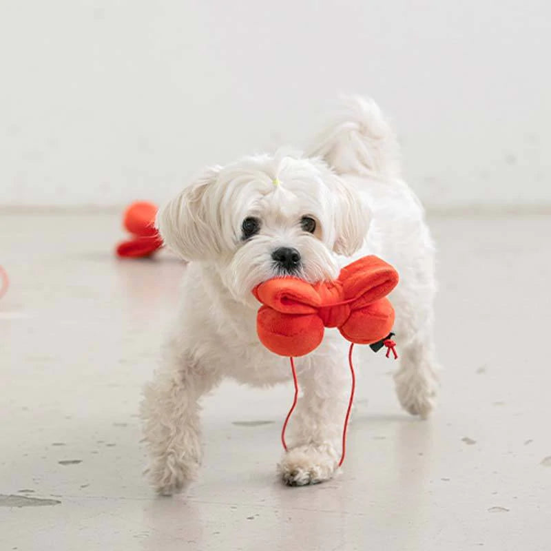 BITE ME Ribbon Headband Dog Toy 蝴蝶結玩具頭飾
