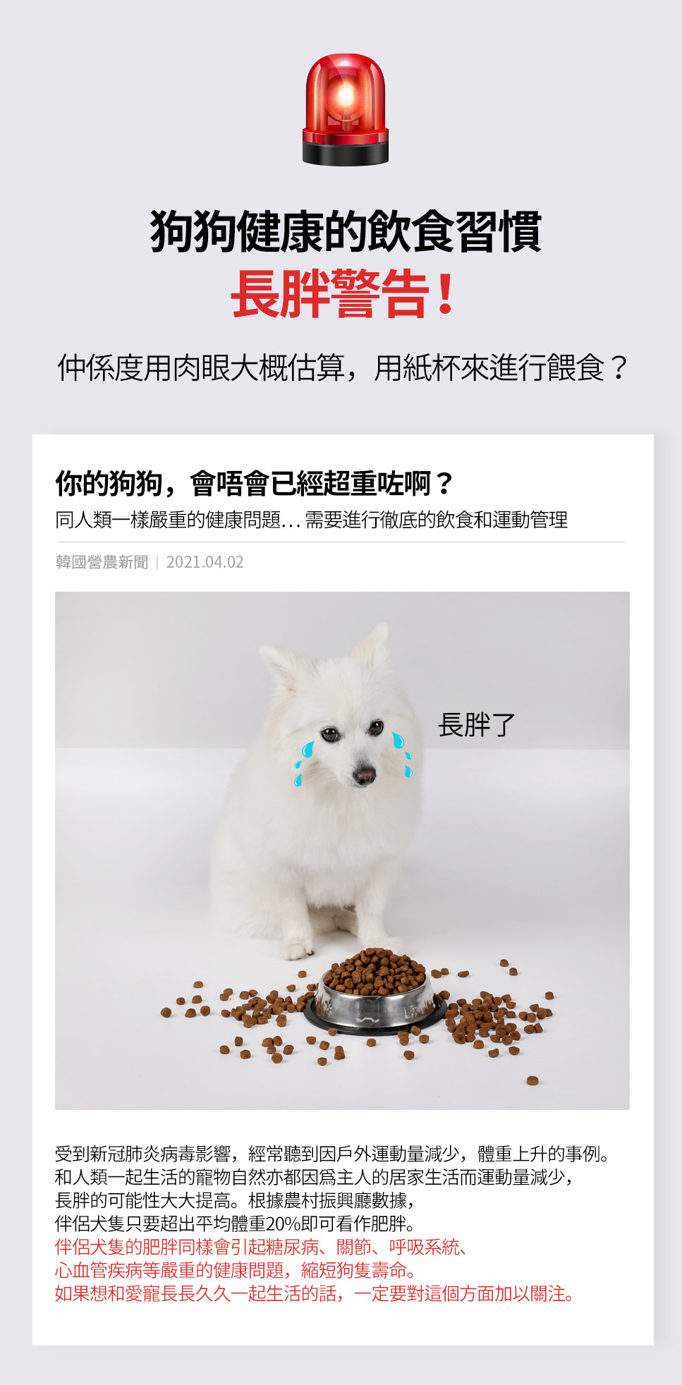 韓國 Laughing Charlie 健康計量勺 Healthy Scoop
