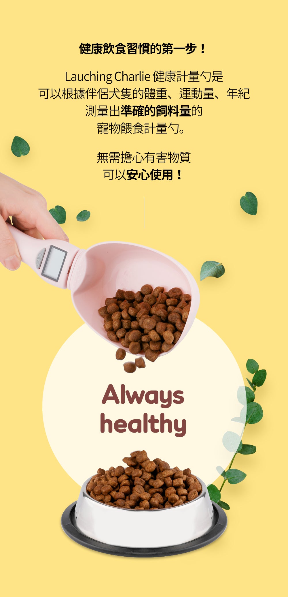 韓國 Laughing Charlie 健康計量勺 Healthy Scoop