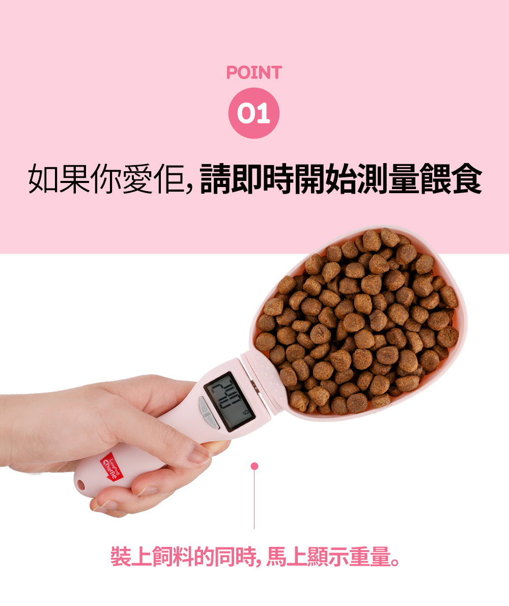 韓國 Laughing Charlie 健康計量勺 Healthy Scoop