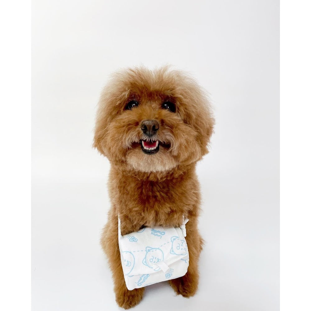 韓國 Laughing Charlie Tissue Toy 紙巾筒藏食玩具