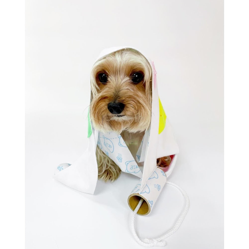 韓國 Laughing Charlie Tissue Toy 紙巾筒藏食玩具