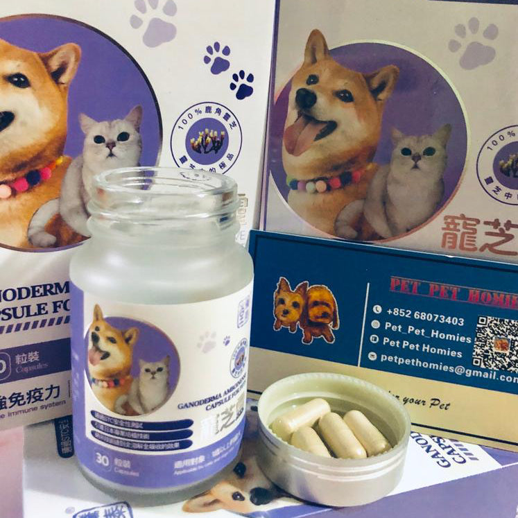 騰泰堂 寵芝靈 30粒裝
