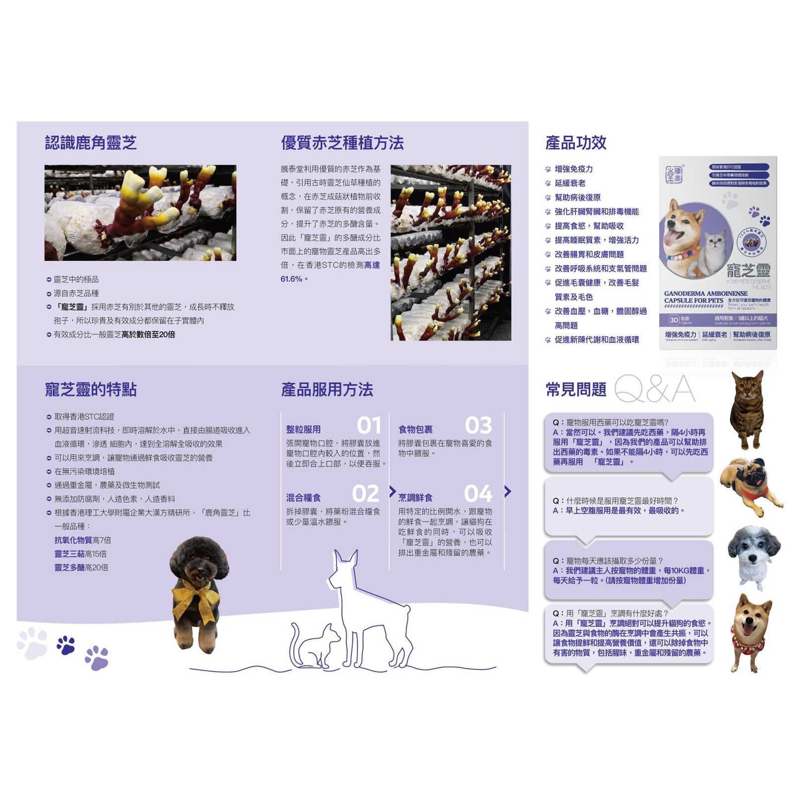 騰泰堂 寵芝靈 30粒裝