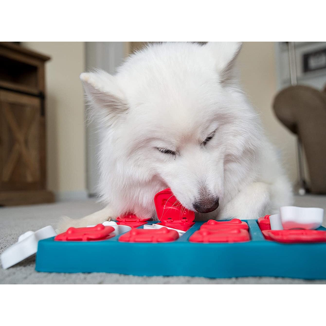 Outward Hound 益智玩具零食板 Interactive Puzzle Game Toy for Dogs