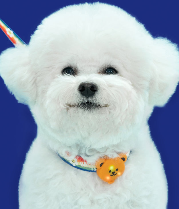 Wiggle Wiggle Bear LED Light 防水熊仔燈 (三種閃燈模式)