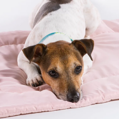 Bentla 寵物帳篷軟墊 Pet tent mat