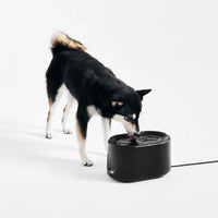 【預訂商品】Mattte UVC無線馬達寵物飲水機