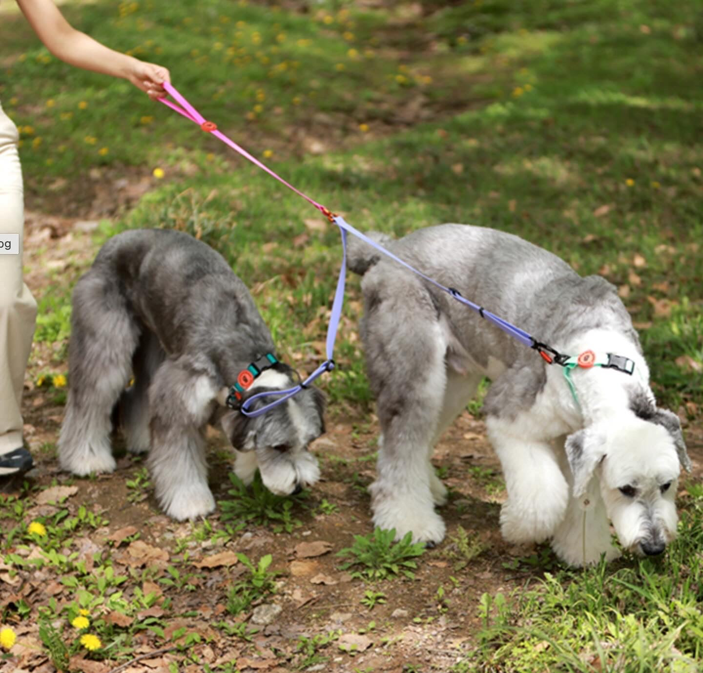 Bentla Aqua Twin Leash 防水雙繩狗帶