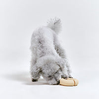 Roika 串燒益智藏食玩具 GORI Toy Butter Yellow