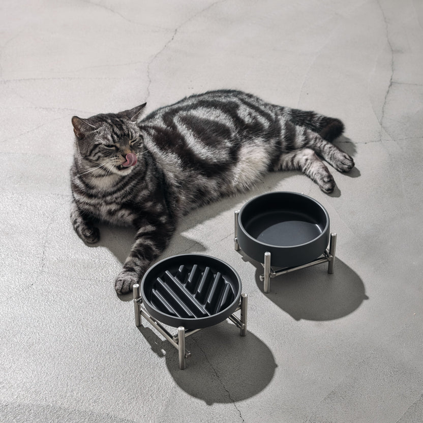 【預訂商品】Mattte 黑陶瓷寵物慢食碗