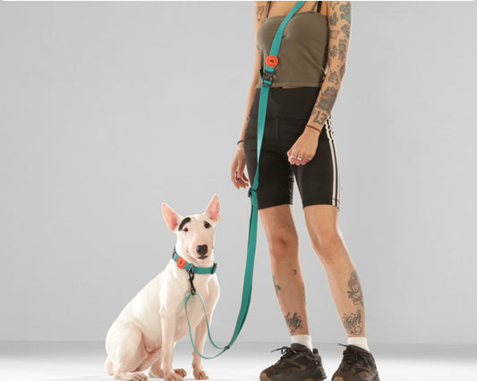 Bentla Aqua Long Leash 2.7M 防水長牽繩