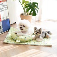 Ritogato 寵物防跣涼感墊 Non-slip Cool Mat (衝浪板熊)