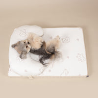 Ritogato Aircoil Forpe with Pillow 氣墊極涼感床連枕頭