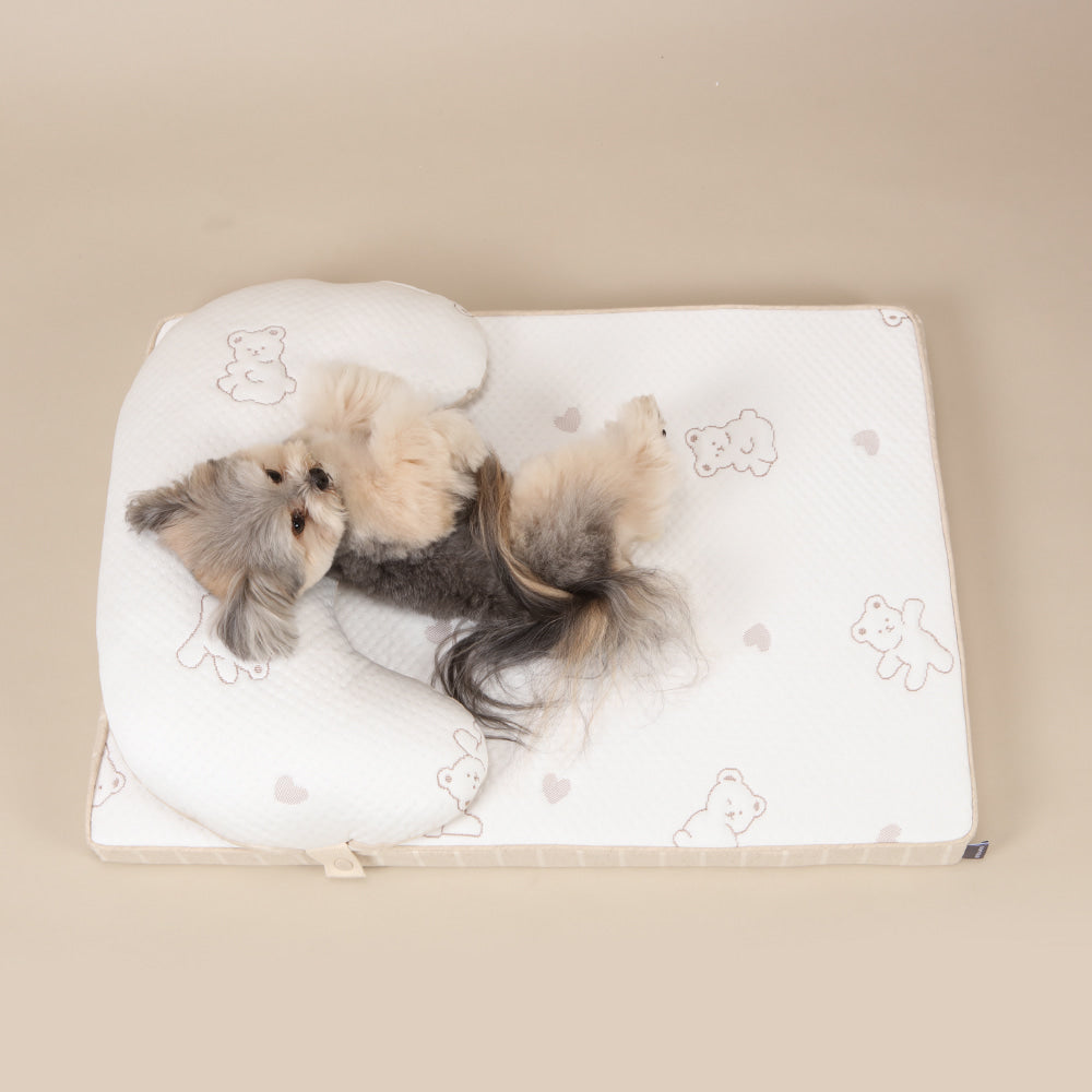 Ritogato Aircoil Forpe with Pillow 氣墊極涼感床連枕頭