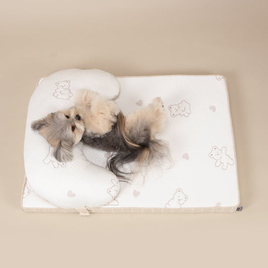 Ritogato Aircoil Forpe 氣墊極涼感床連枕頭 with Pillow