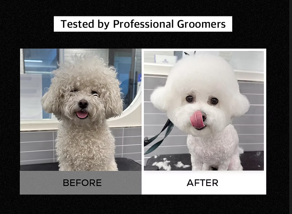 RENADOG Deep Cleansing Shampoo 深層清潔洗髮露 300ml