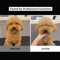 RENADOG Volumizing Shampoo 櫻花豐盈香波髮露 300ml