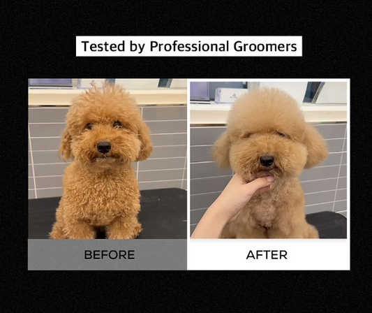 RENADOG Volumizing Shampoo 櫻花豐盈香波髮露 300ml